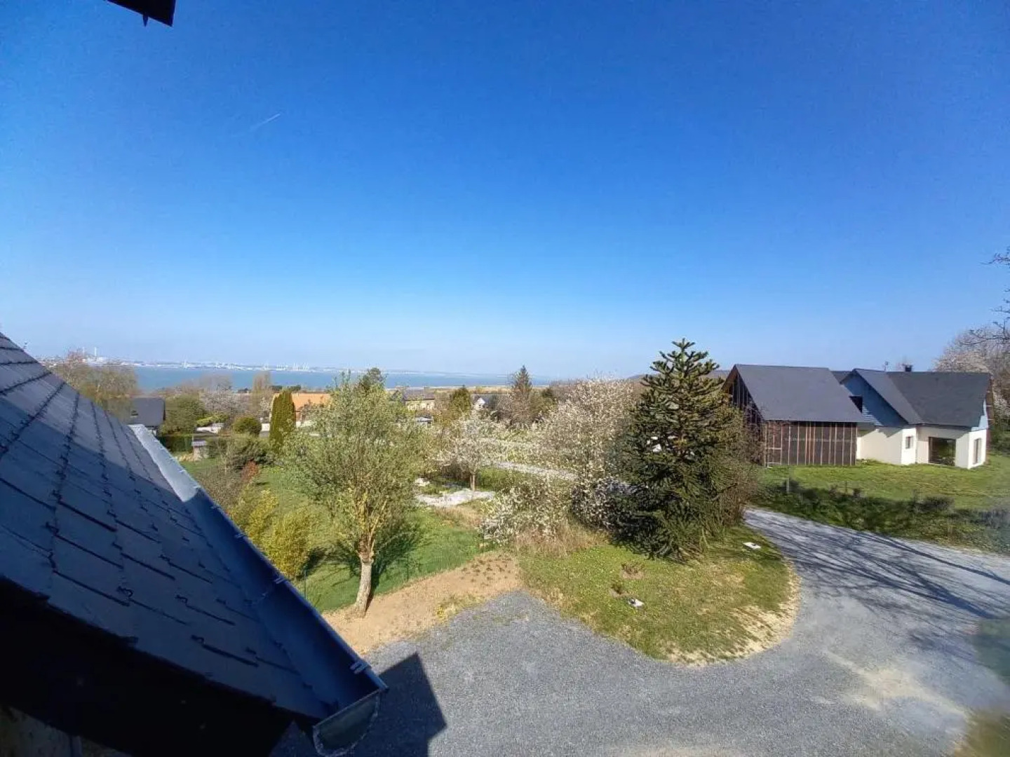 Les Lys (Adults Only)