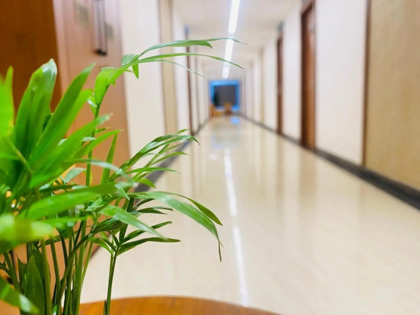 The Urban Hive Hotel