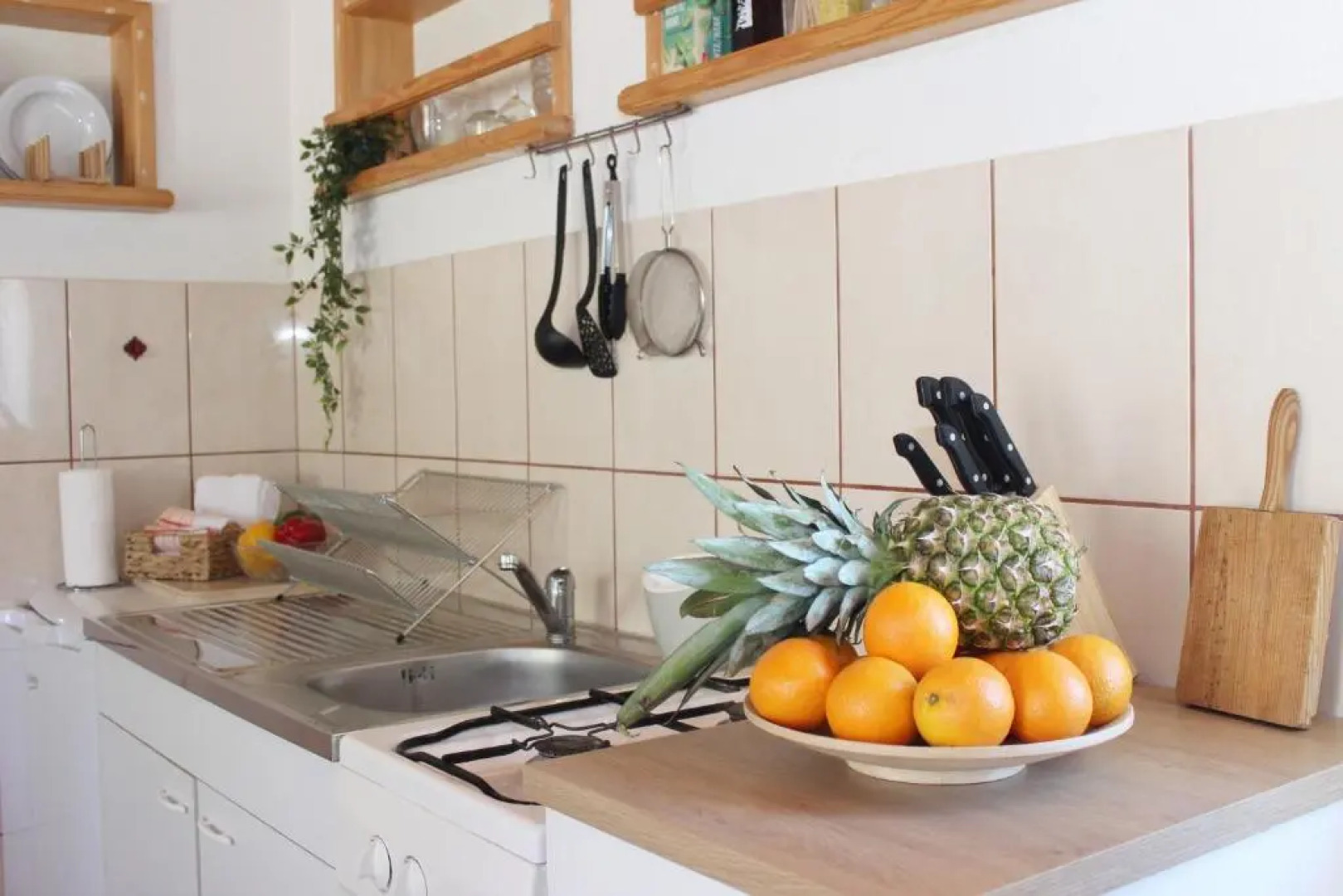 Robinson House Dubrova