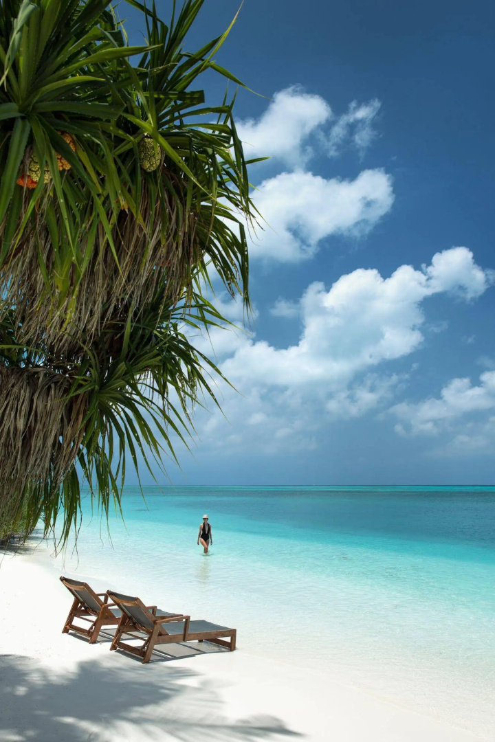 Tropical Village