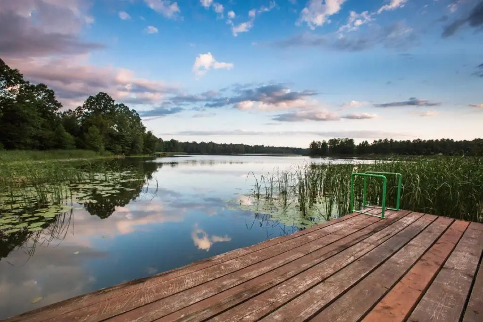Siedlisko Dzika Kaczka