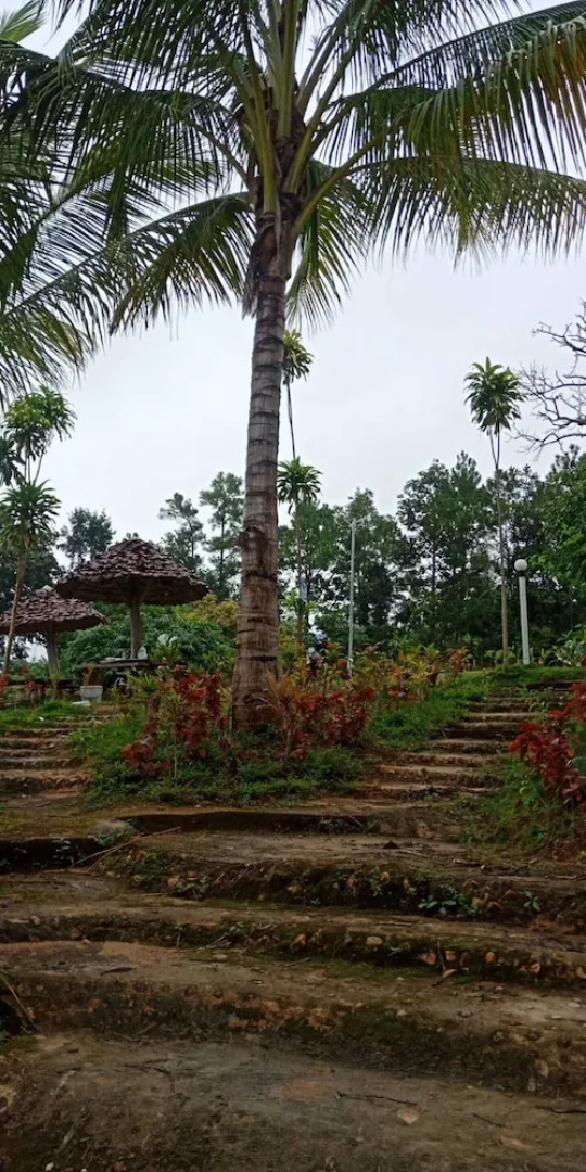 Phuchandang Resort