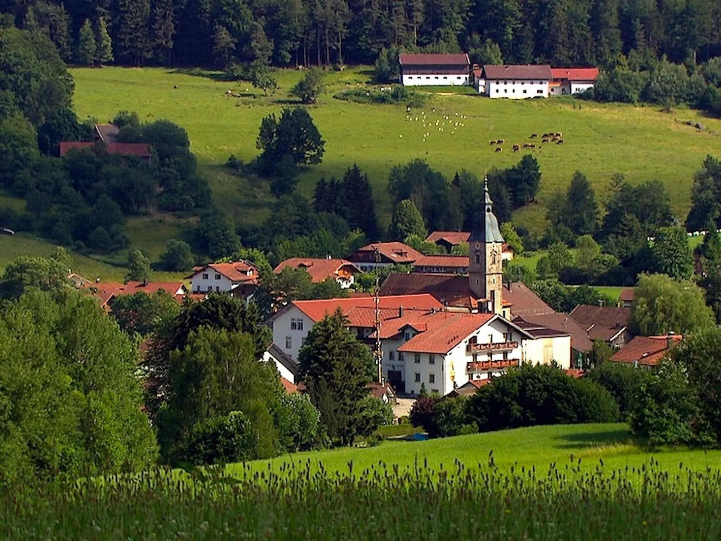 Ferienwohnung, Zenting