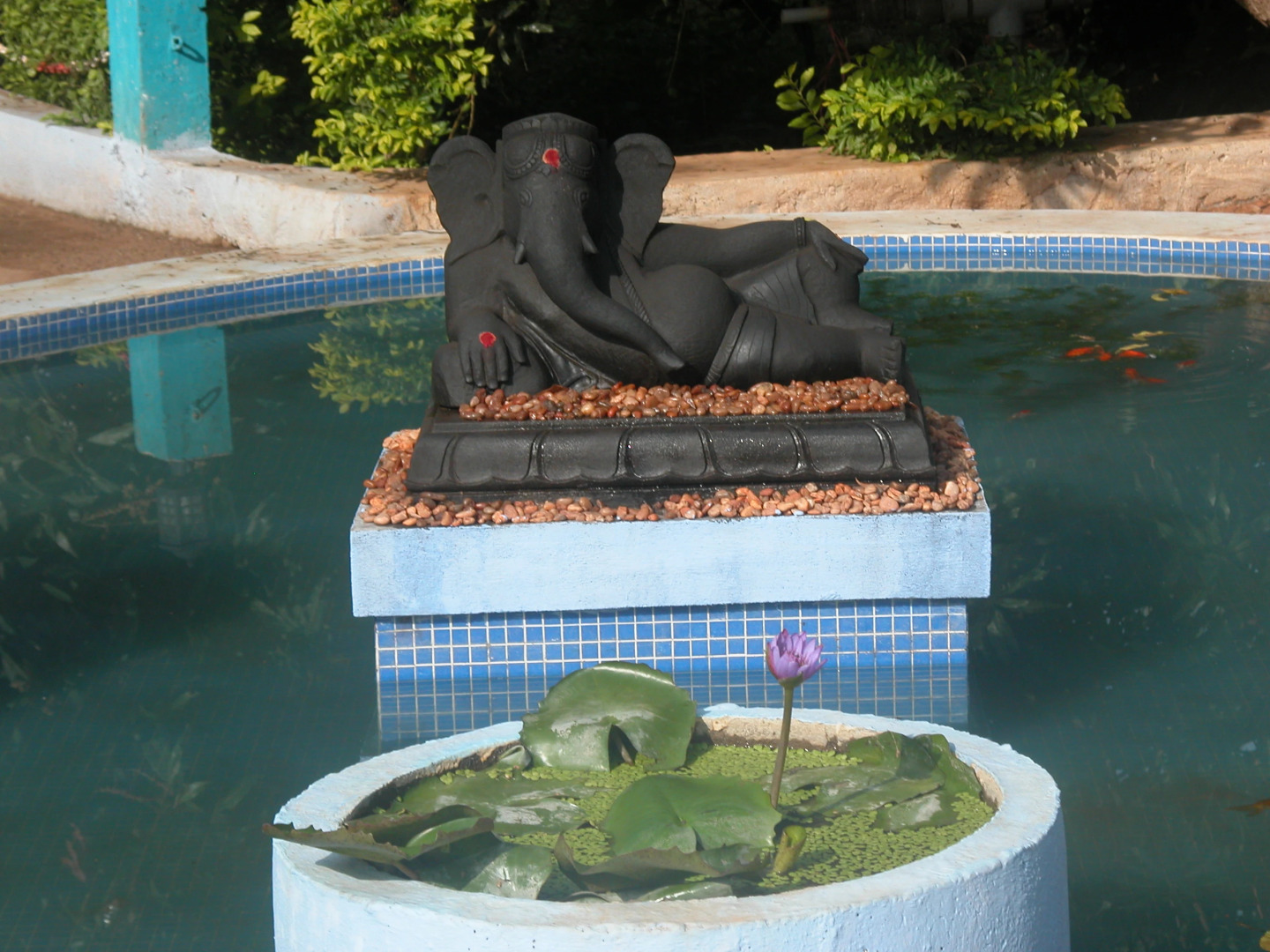 Prince Park Farmhouse Resort