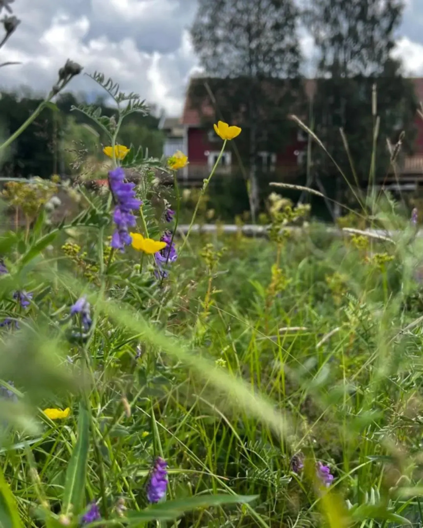 STF Sälen Torgåsgården