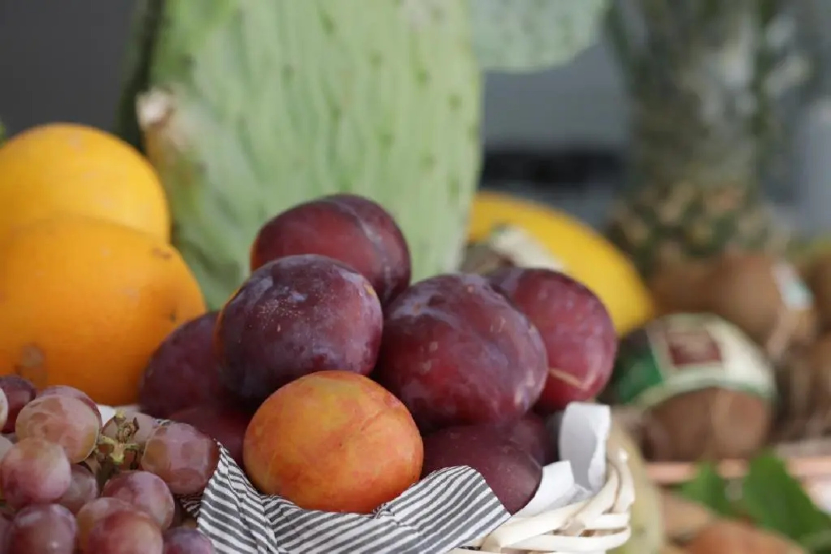 Salapia Salis Resort