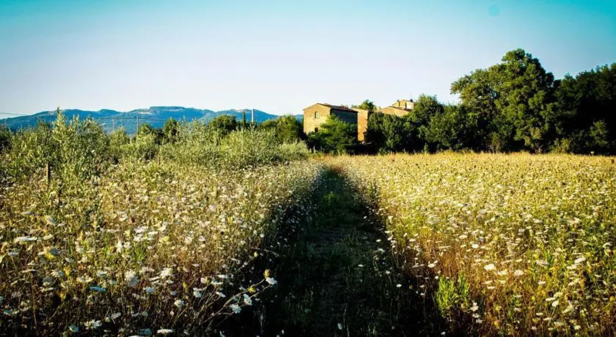 Casale Volpi