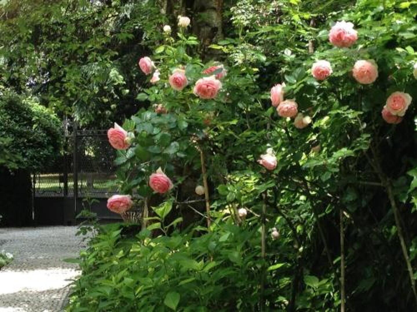 Casa Cuniolo Guest House