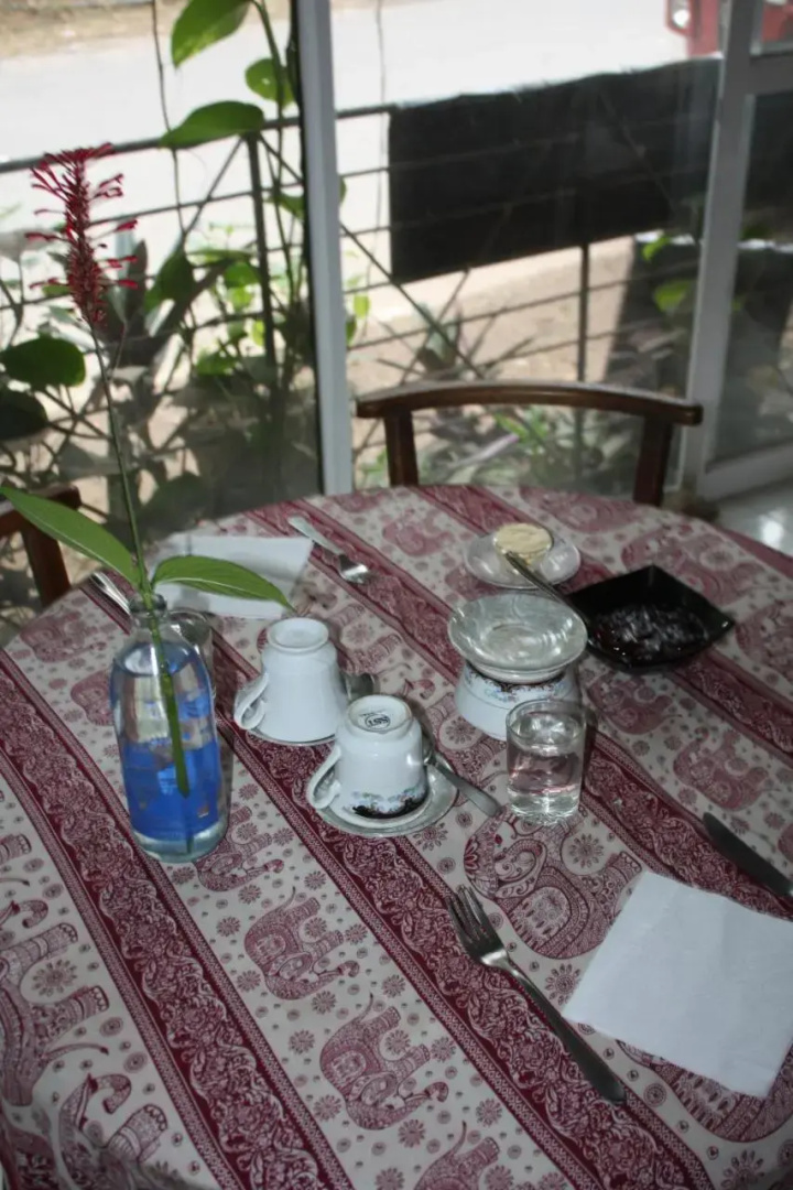 Rural Jungle Backpackers Hostel