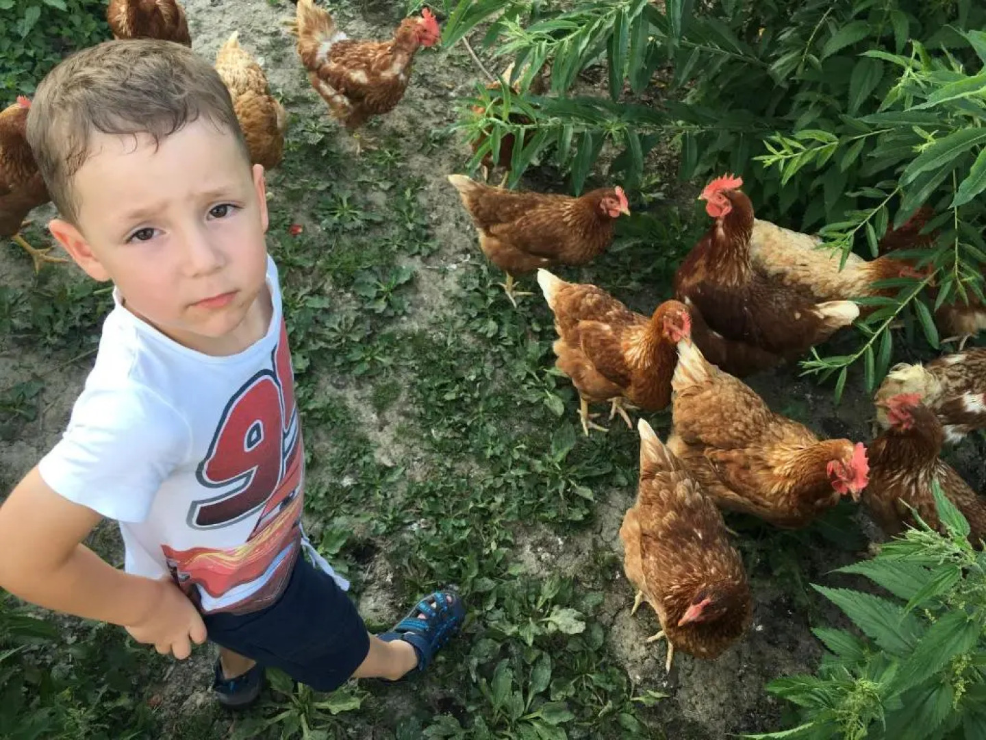 Familienbauernhof Strassbauer