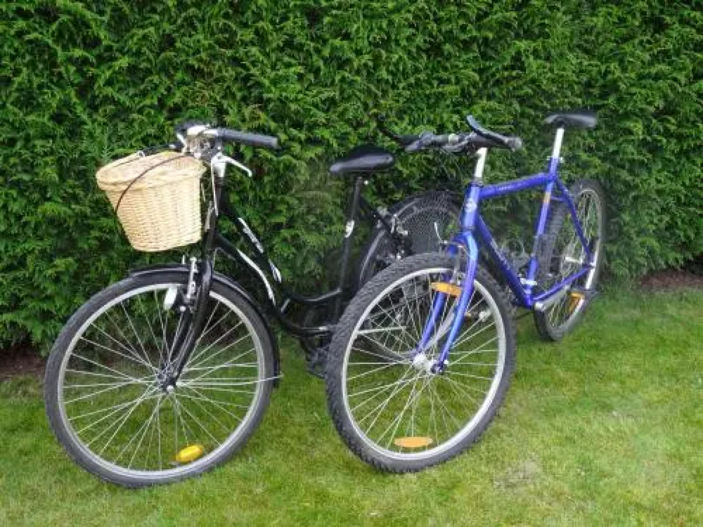 Studio avec vue sur Lac