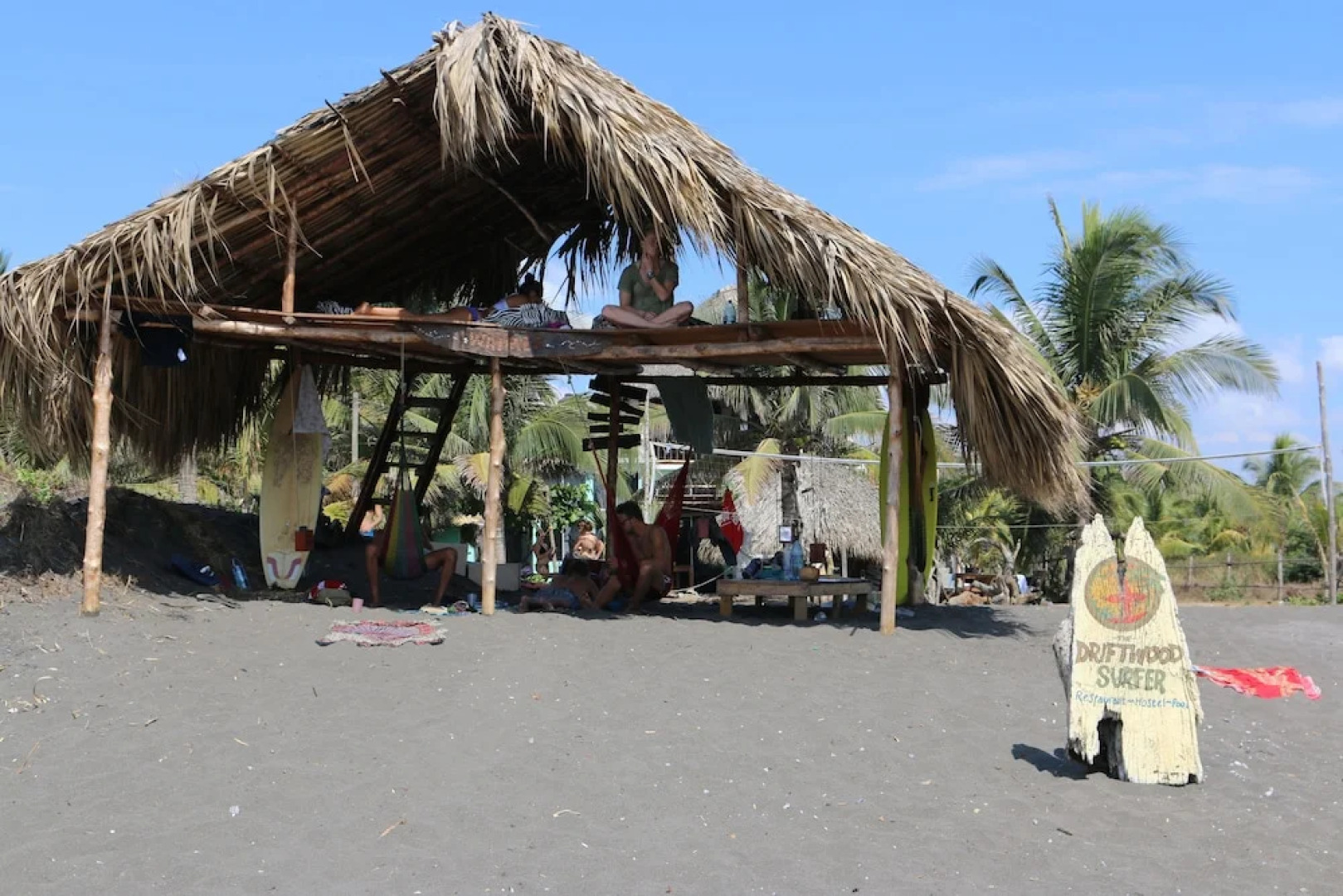 The Driftwood Surfer