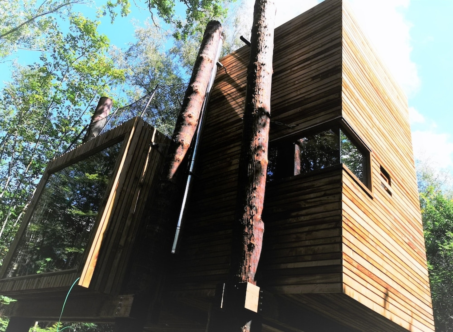 Treeloft Adventure in Nature 3