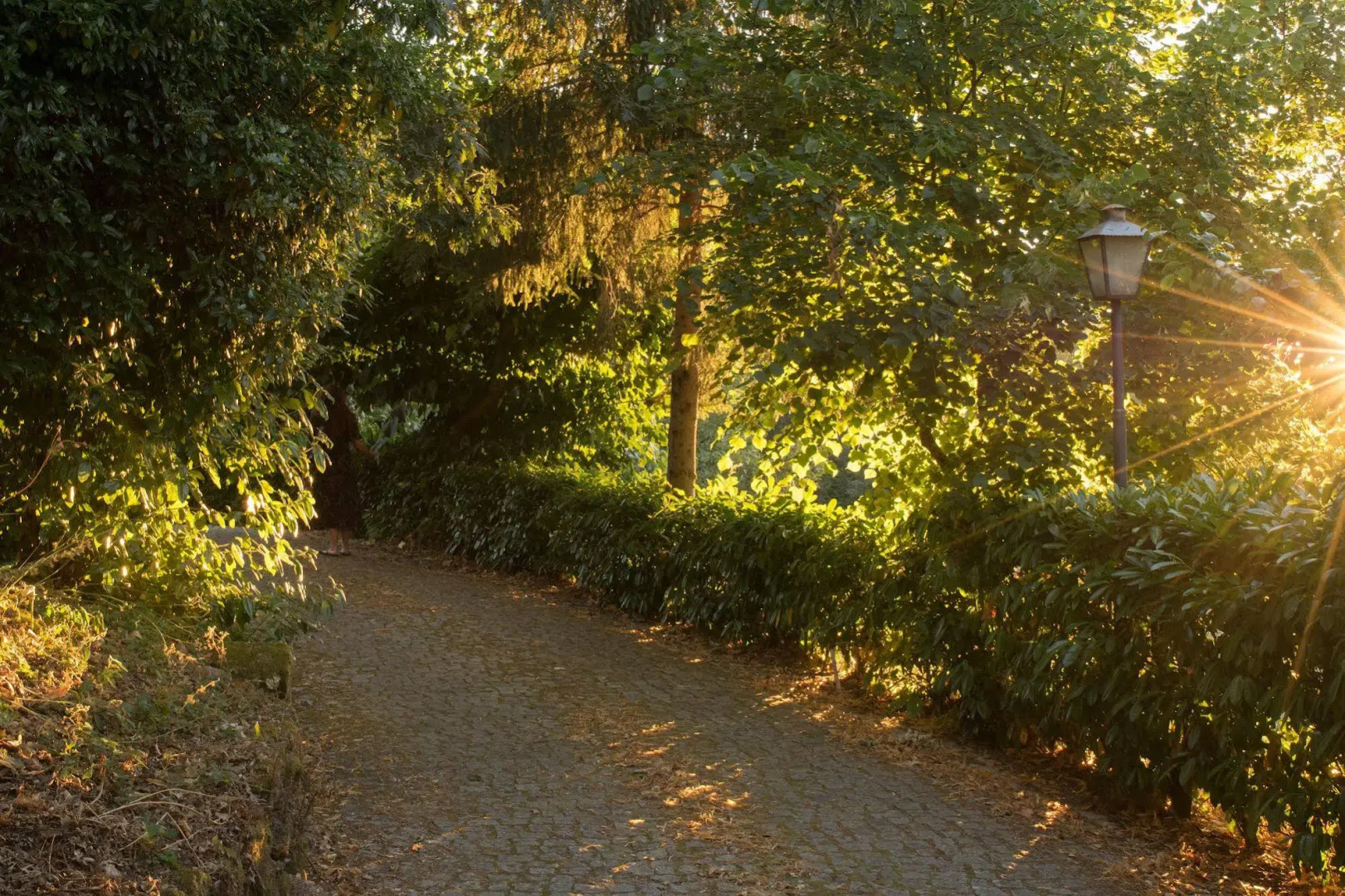 Aparthotel Quinta do Crestelo