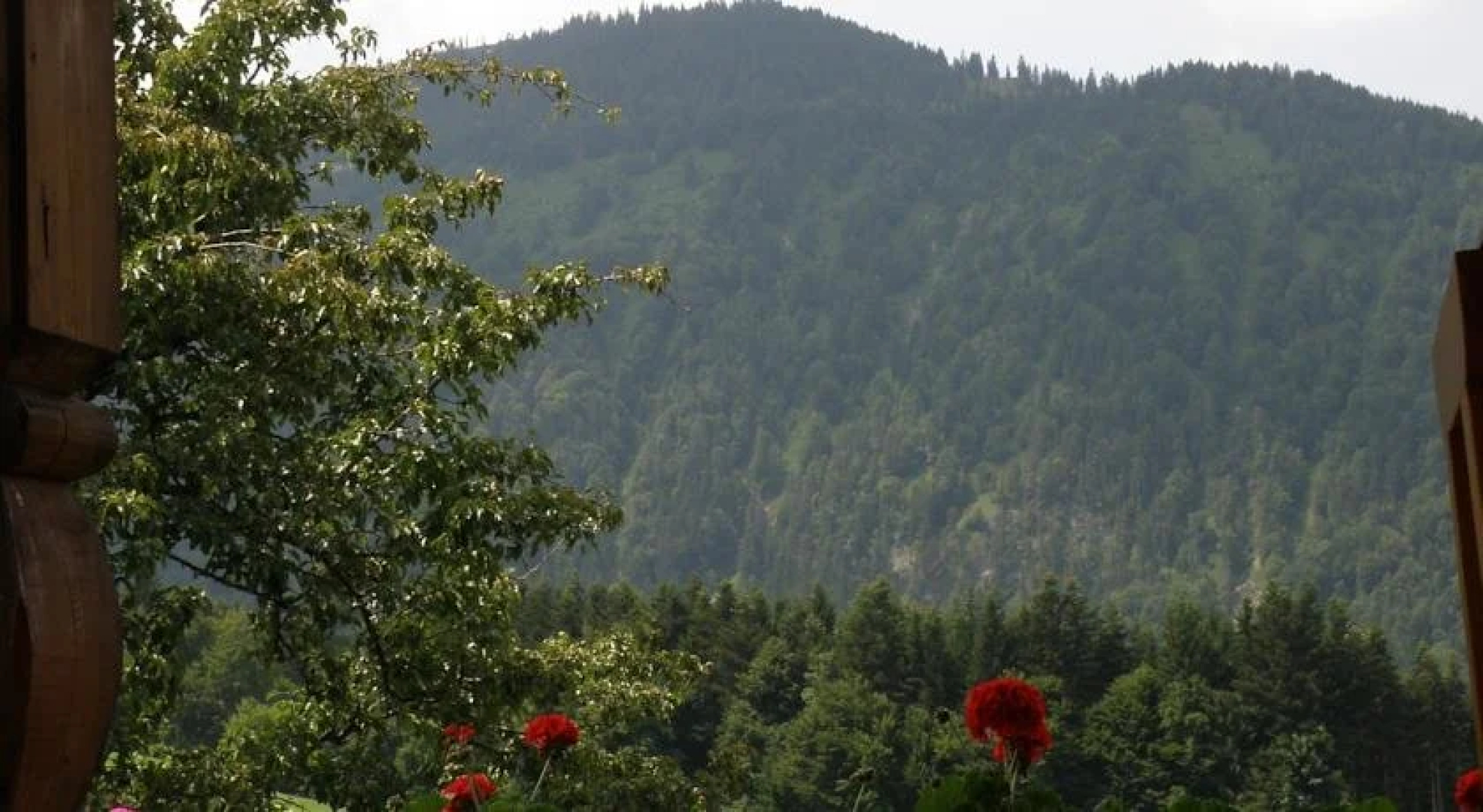 Apartments Obingerhäusl