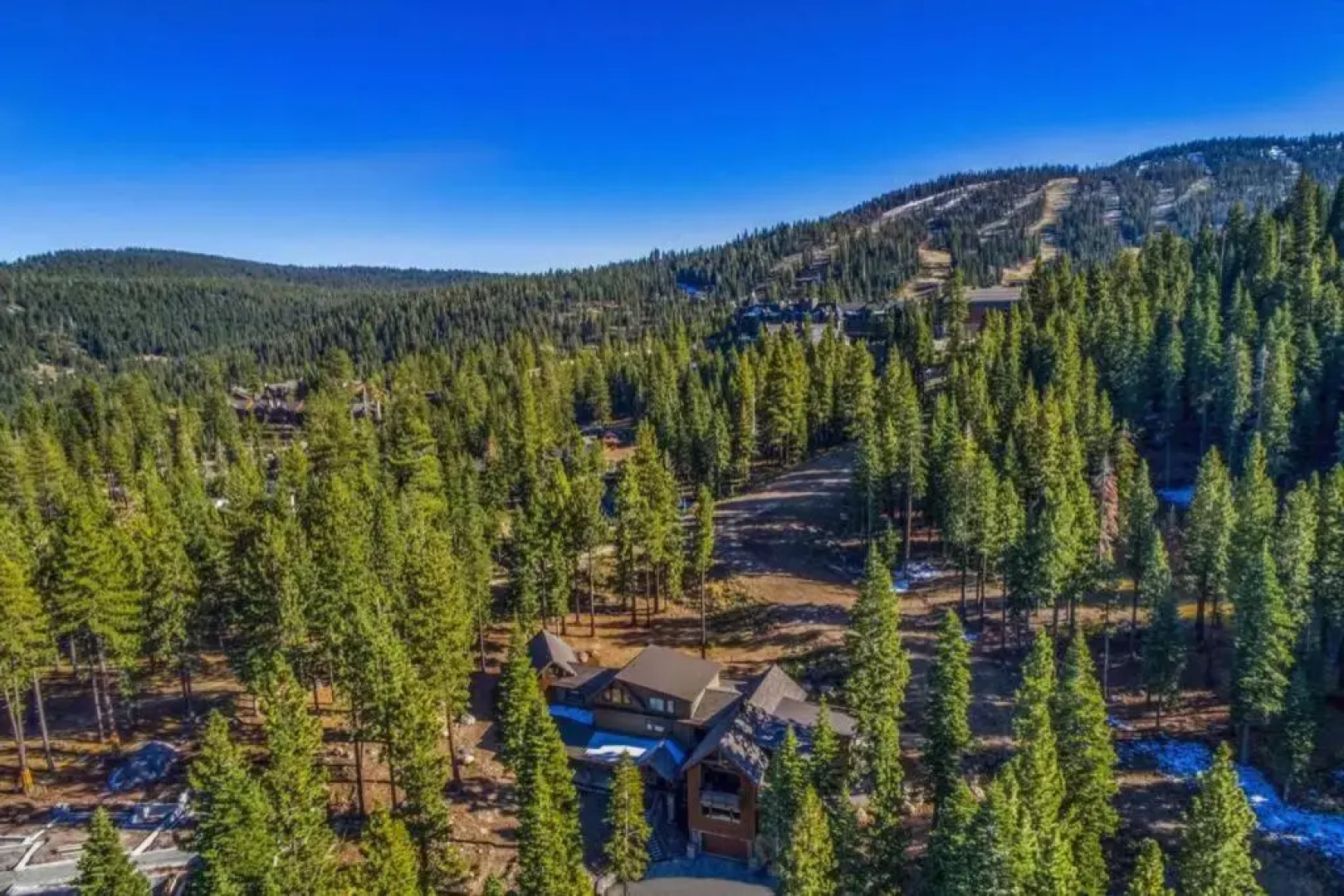 Blue Mountain Majesty