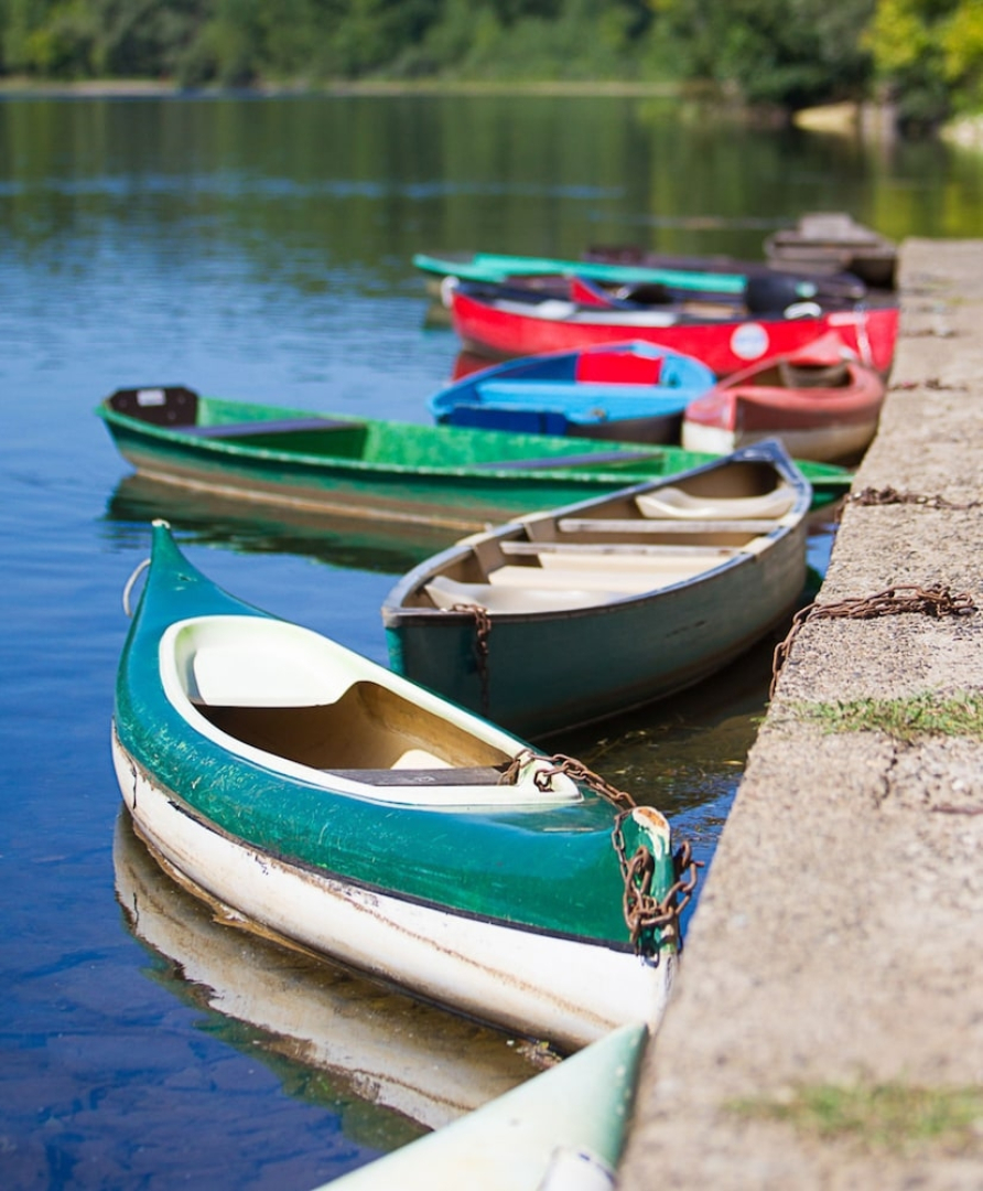 Camping Le Petit Lion - Lodges Bois