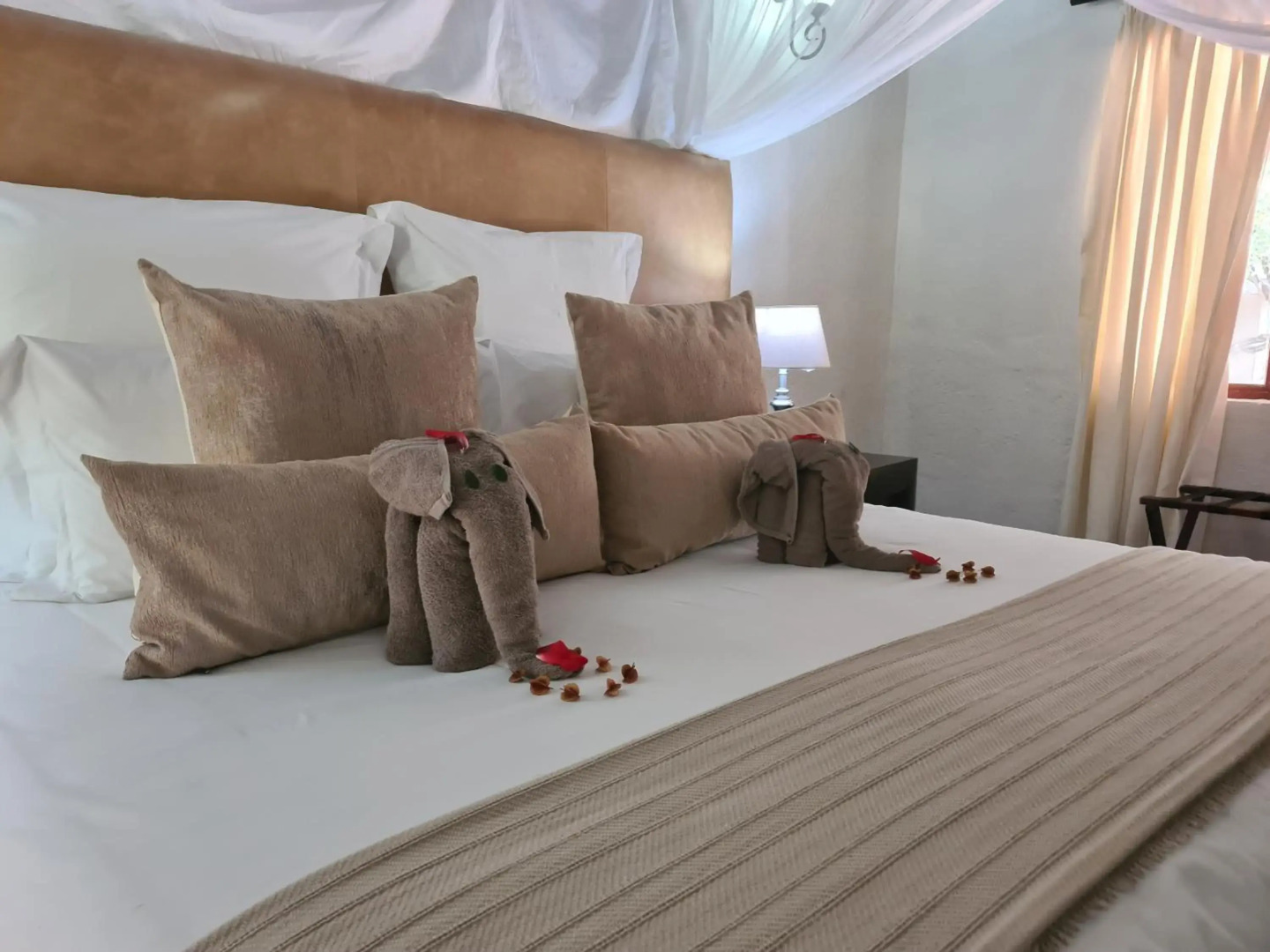 Karongwe- Shiduli Safari Lodge