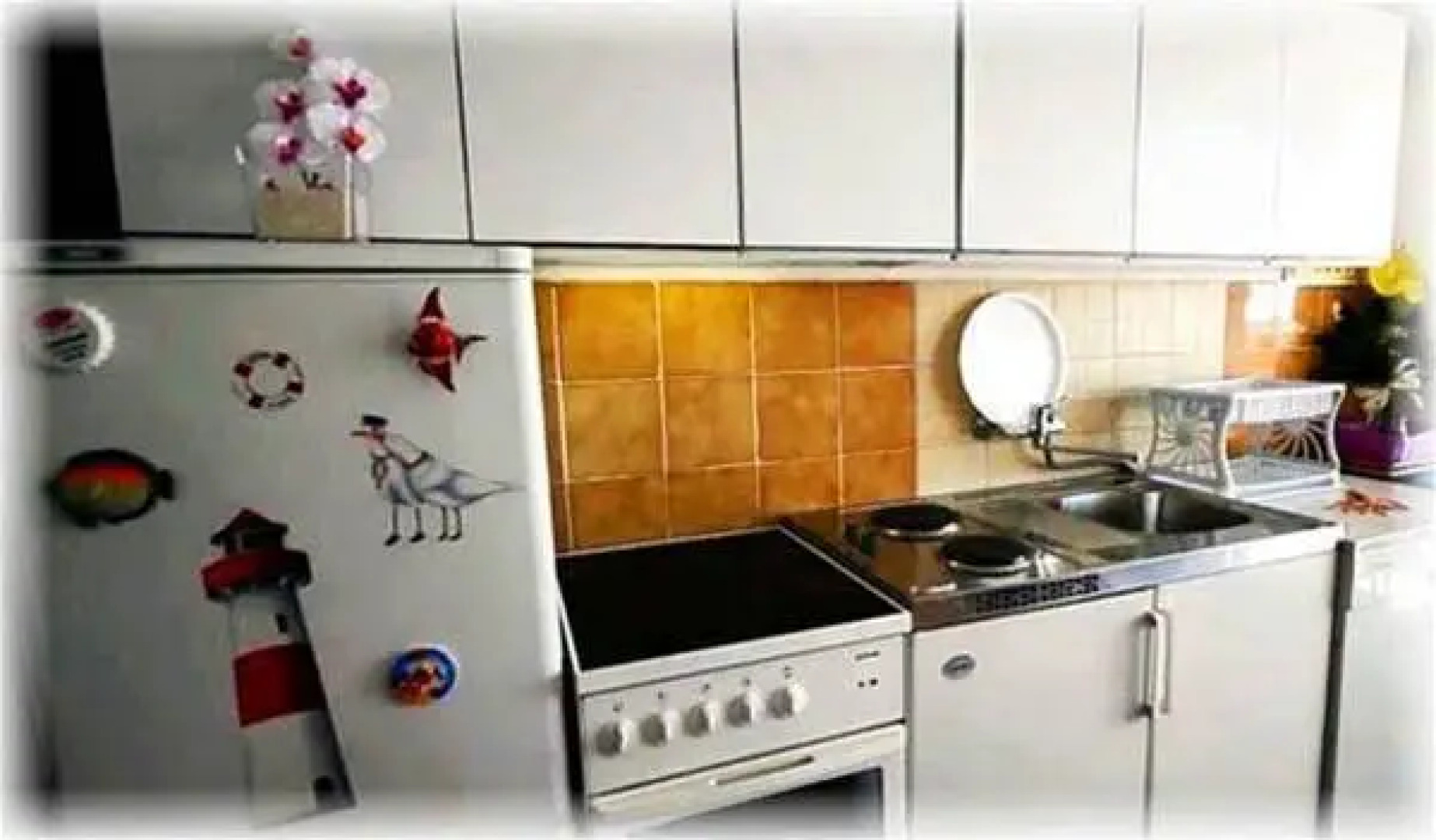 Apartments Darko