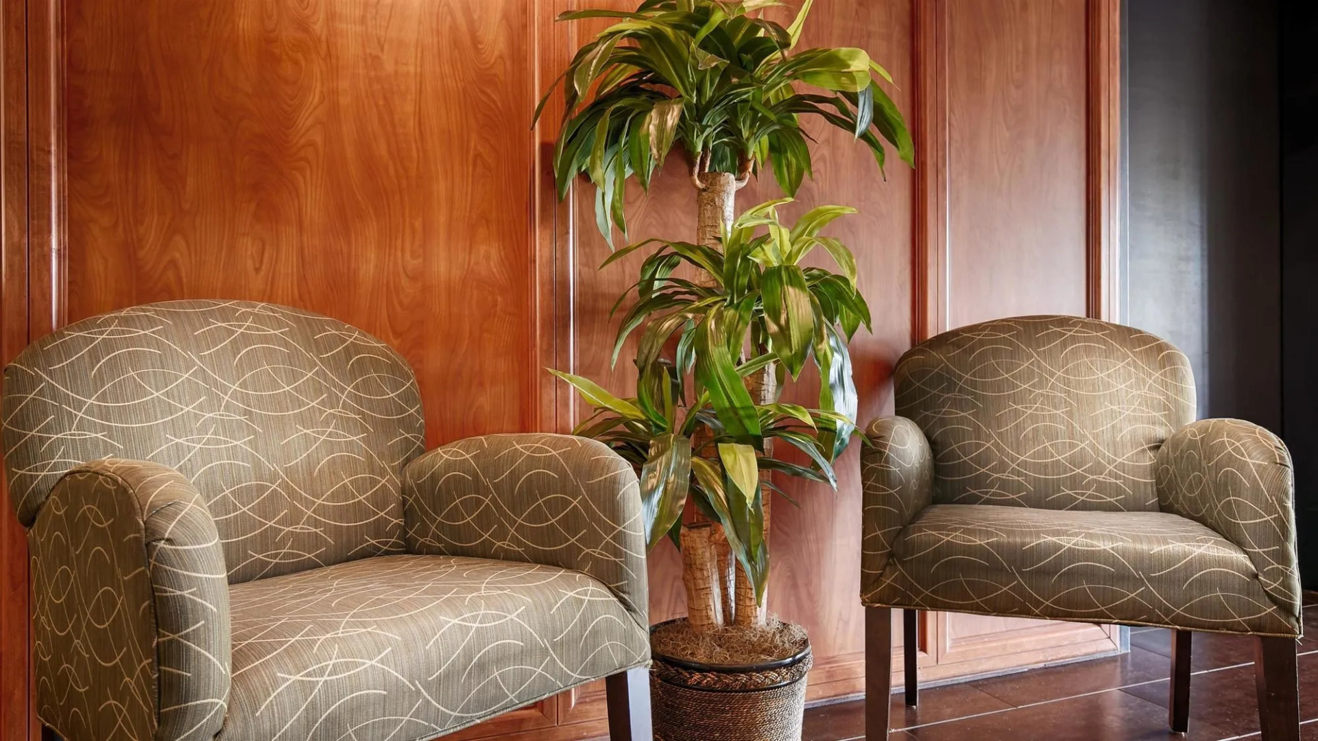 Best Western Plus Gilbert/Mesa