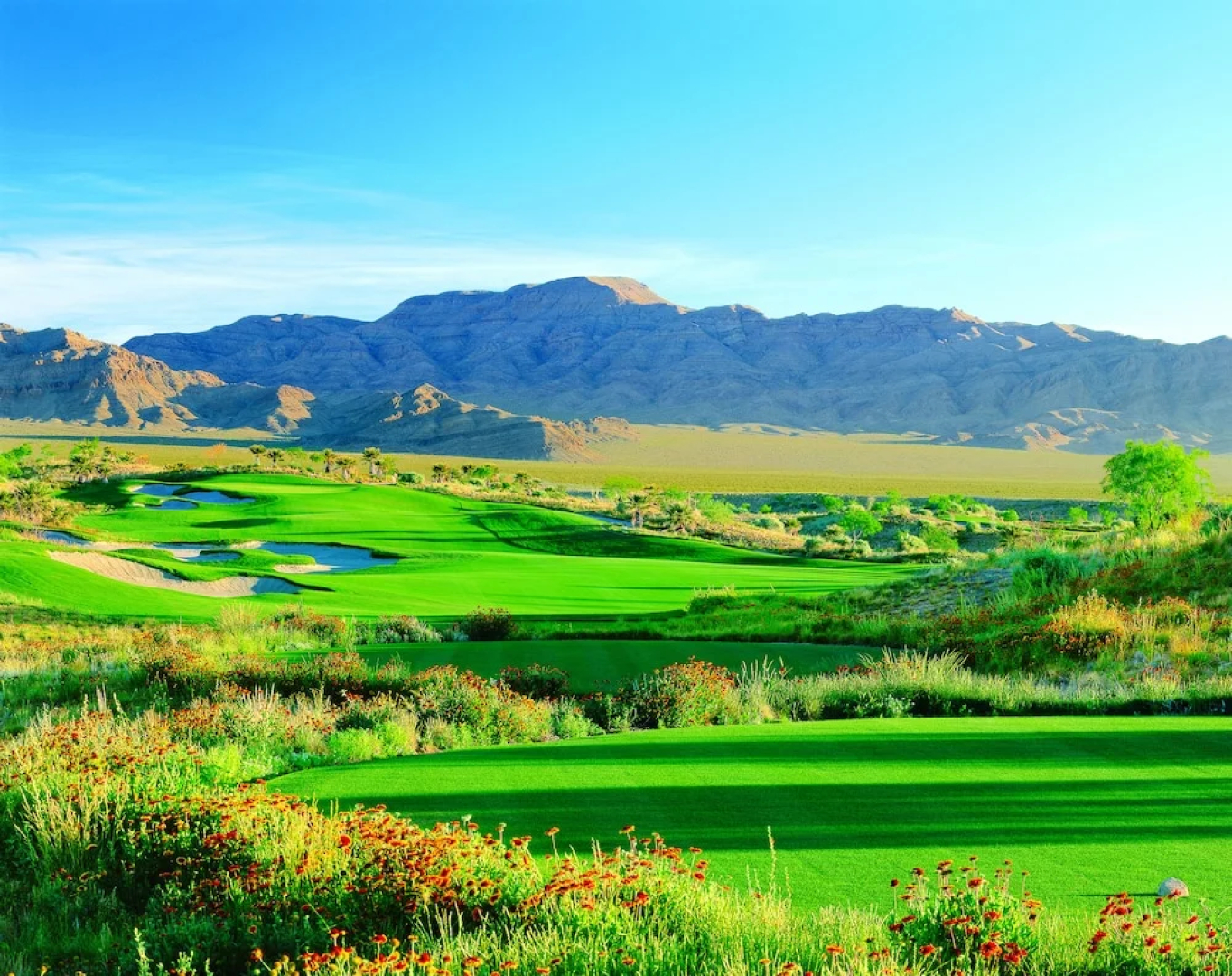 Buffalo Bill's Resort & Casino