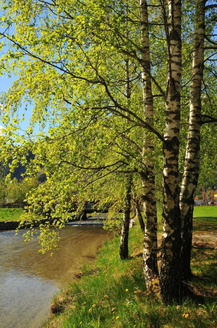 Gaupnetunet Hotell og Hytter