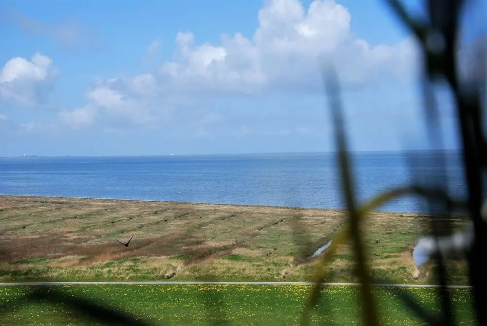 Nige Wark  Peters Ferienappartements