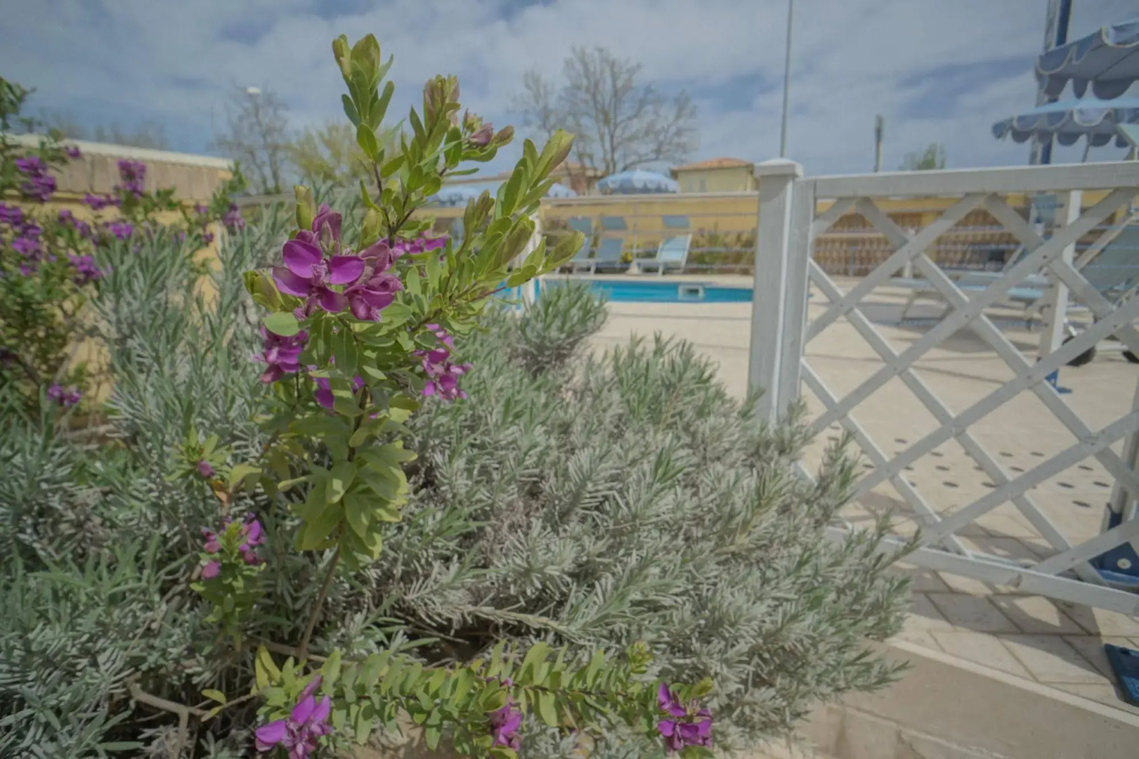 Hotel Residence Il Conero 2