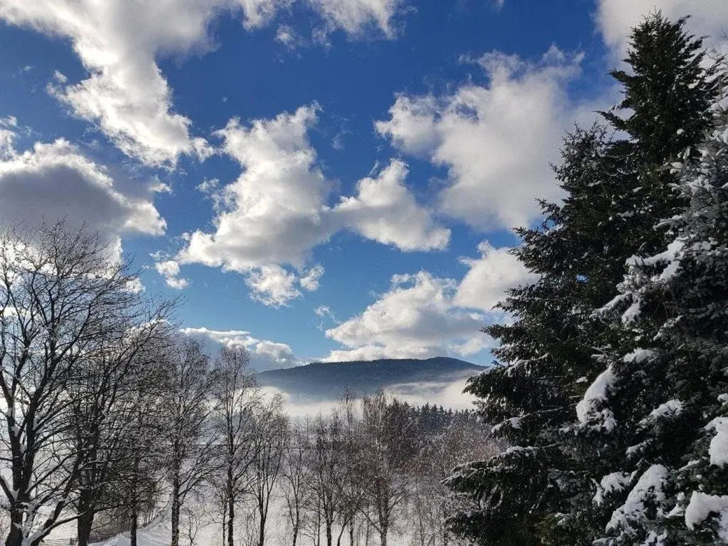 Appartementhaus Novak