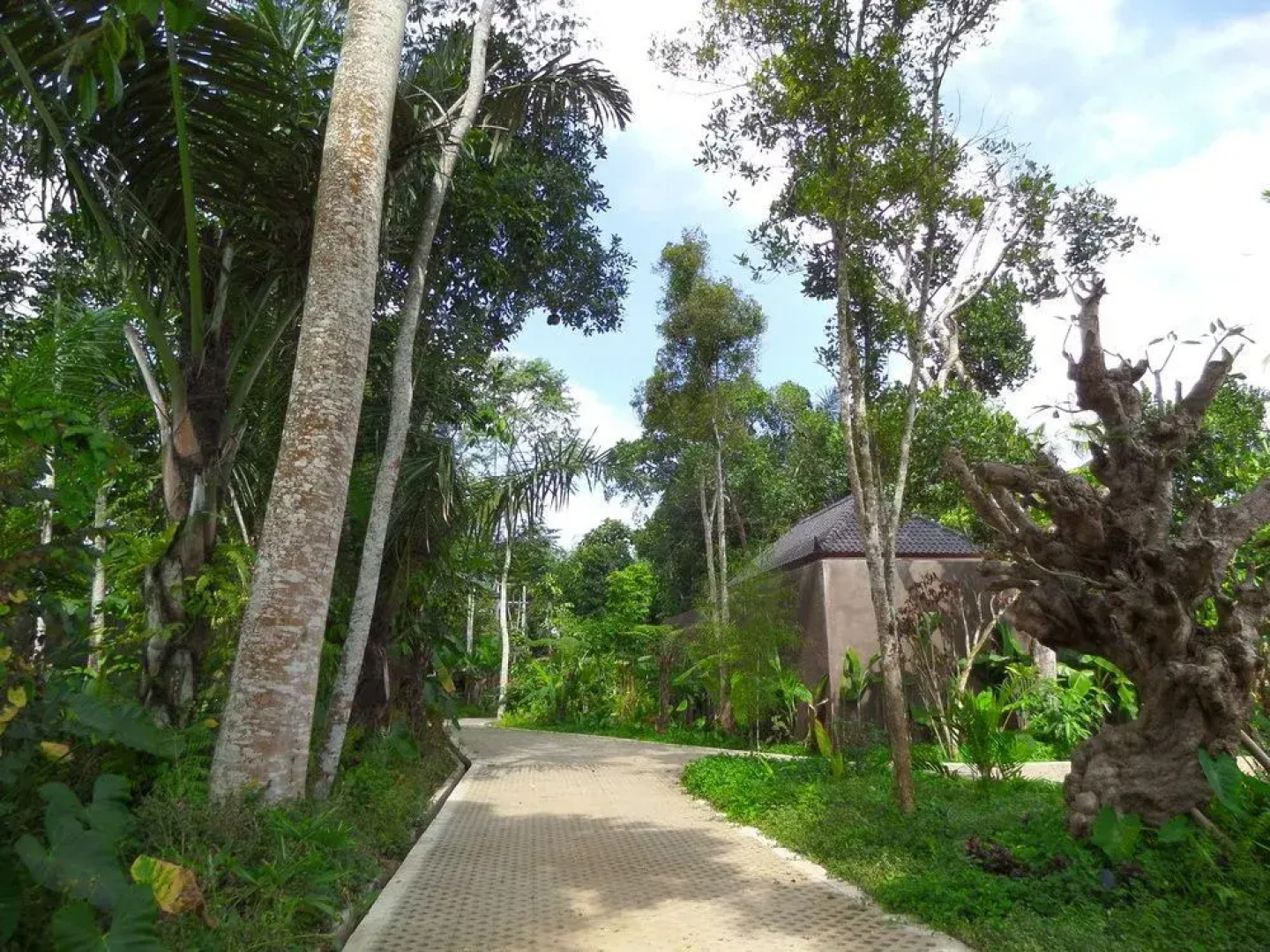 Senetan Villa and Spa Resort