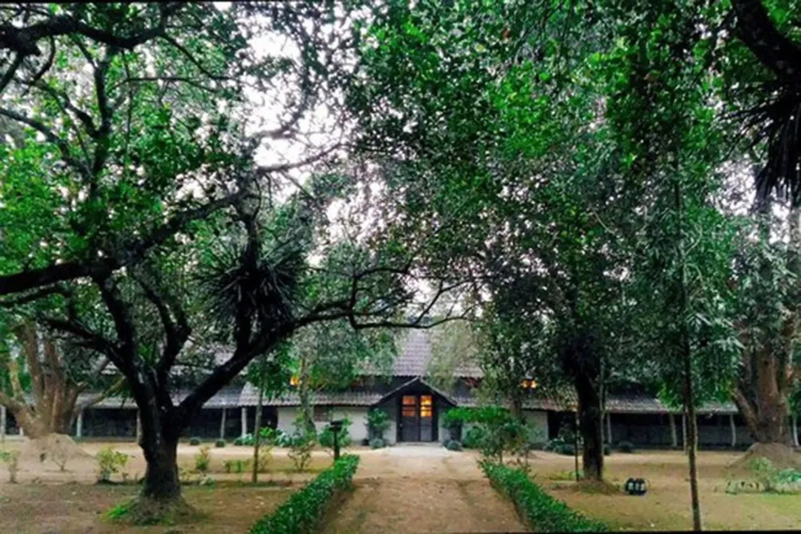 Tiger Tops Tharu Lodge