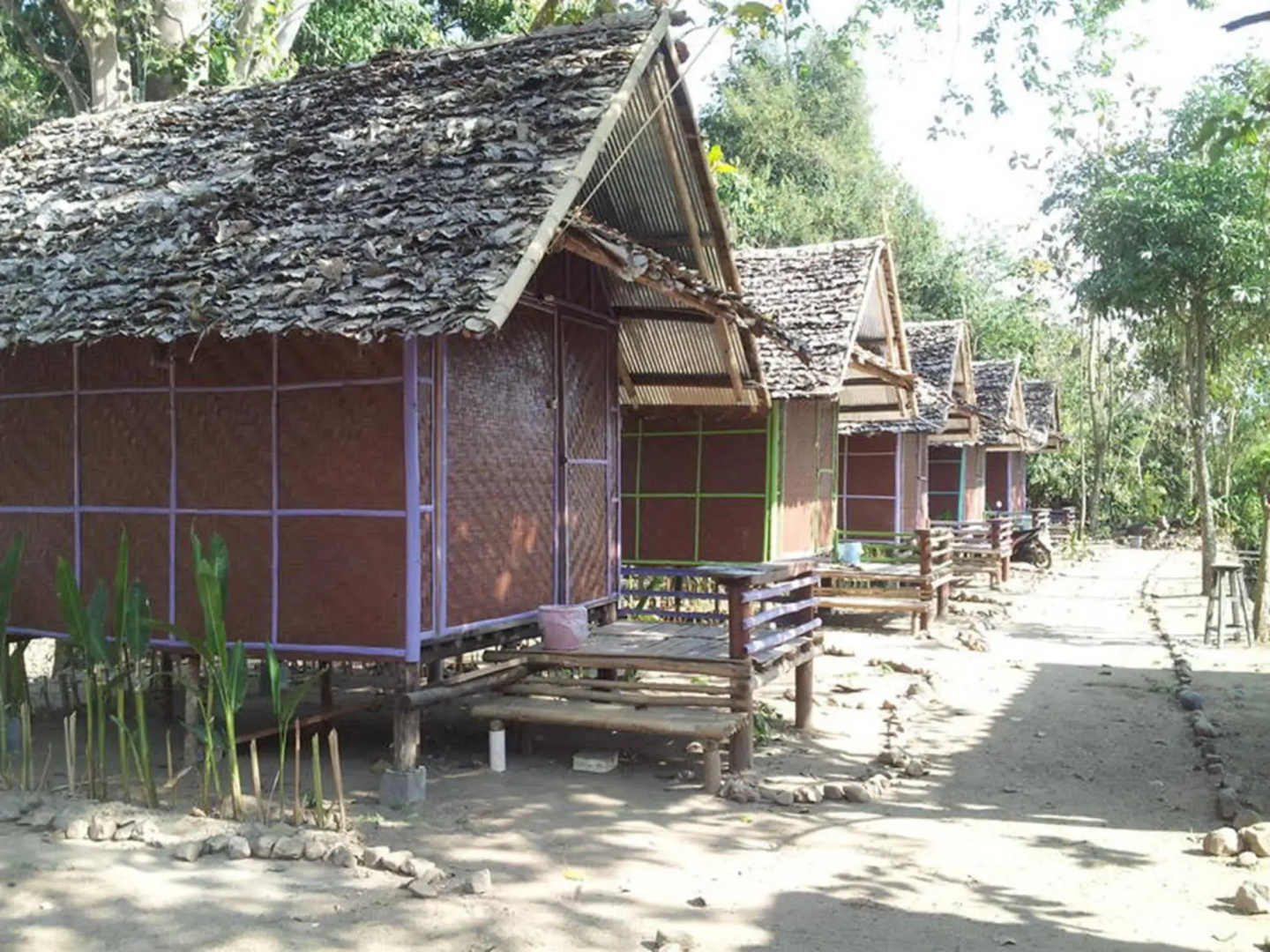 Purple Monkey Backpackers