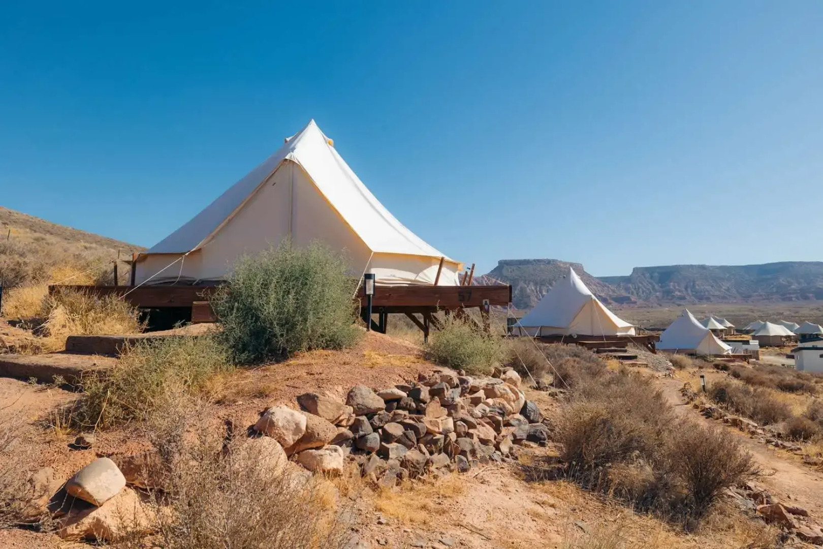 Zion Wildflower, BW Premier Collection