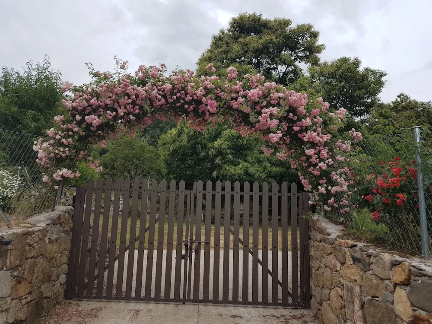 Casa Rural El Castaño