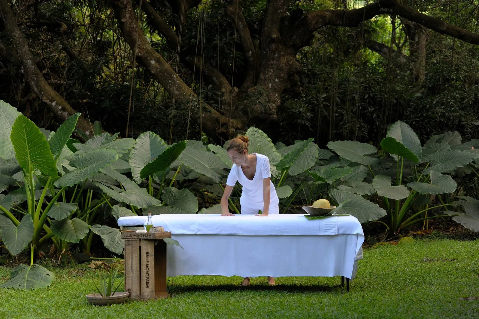 Belle Mont Sanctuary Resort