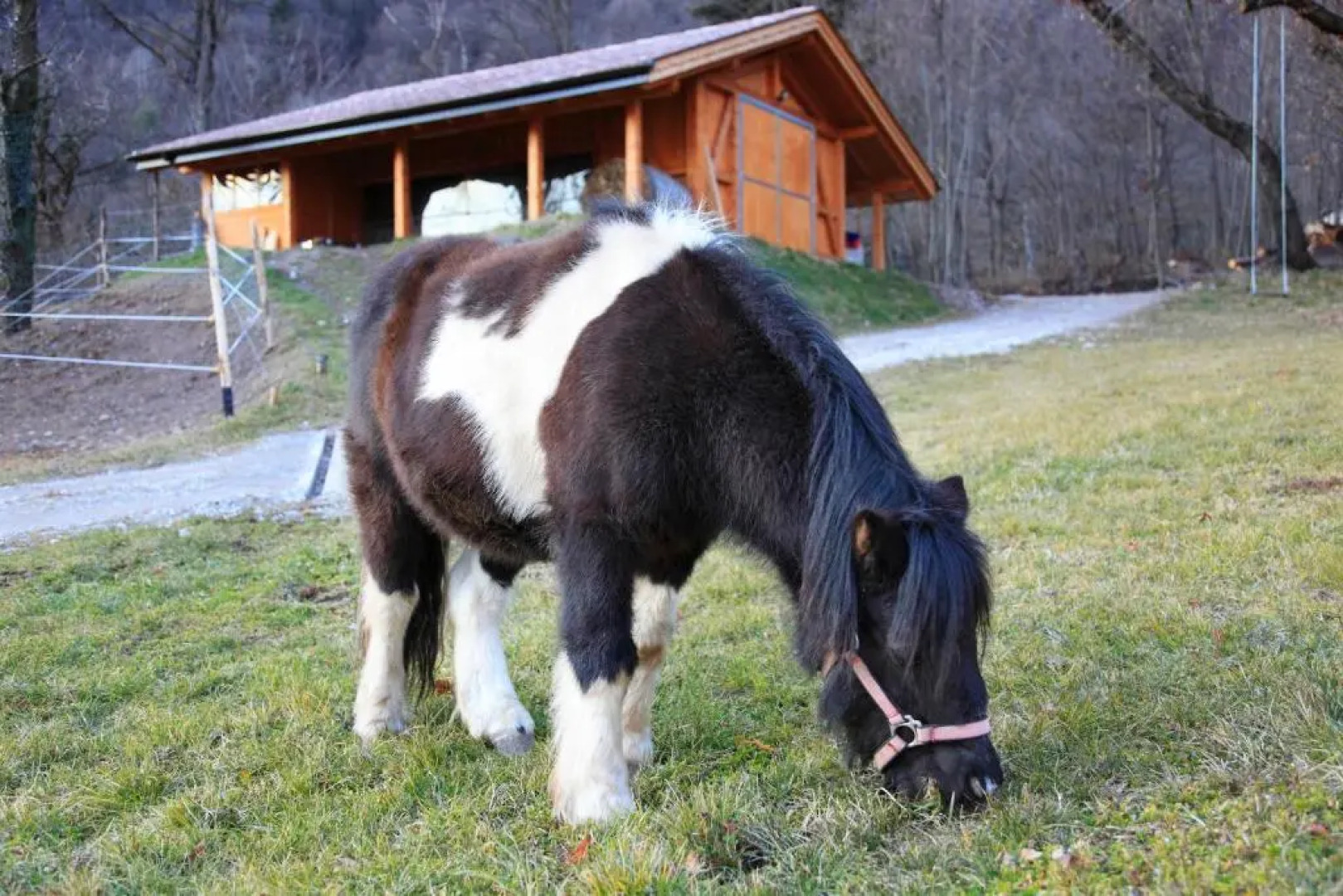 Agritur La Polentera