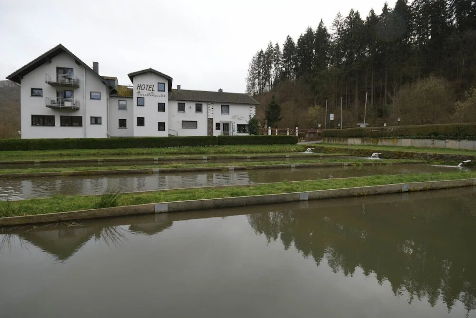 Hotel-Restaurant Forellenzucht