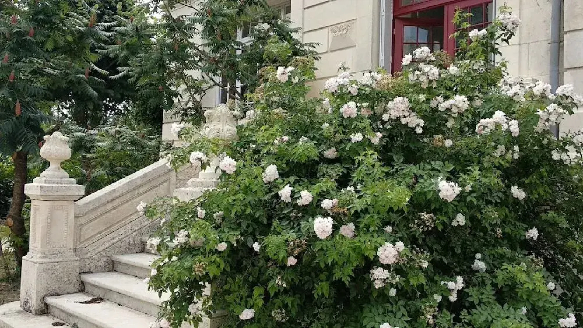 Villa Alecya