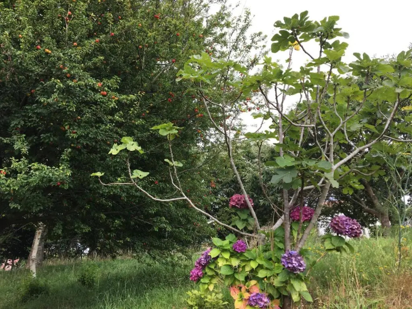 O Souto De Tella, Costa Da Morte