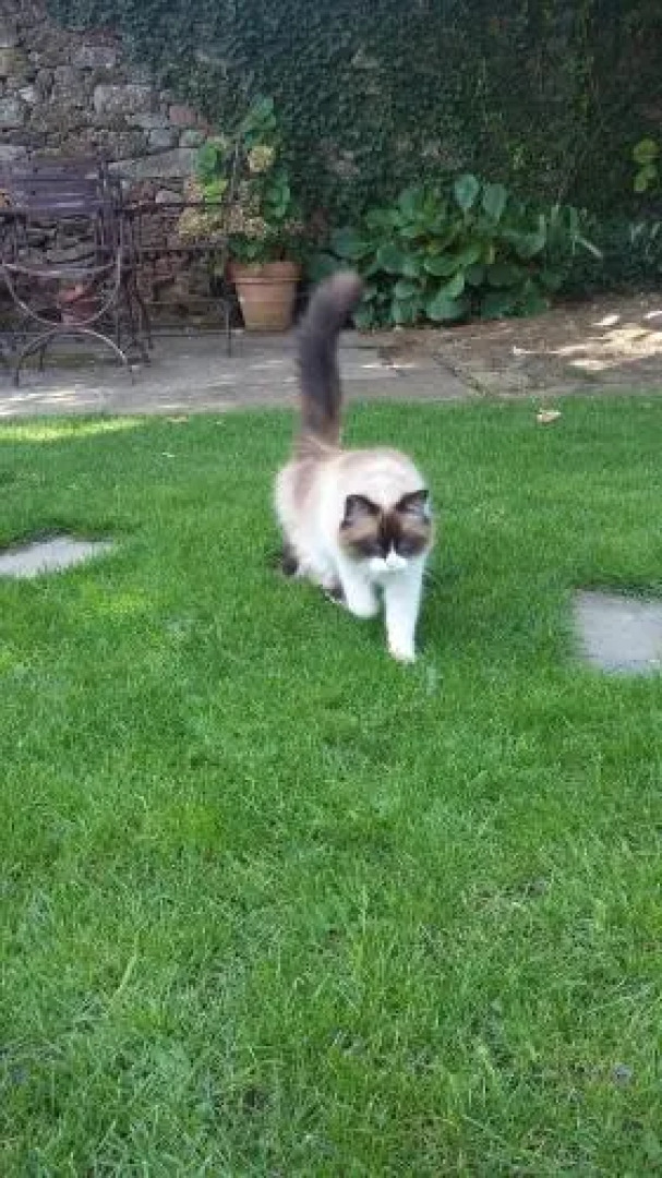 Casa da Quinta De S. Martinho