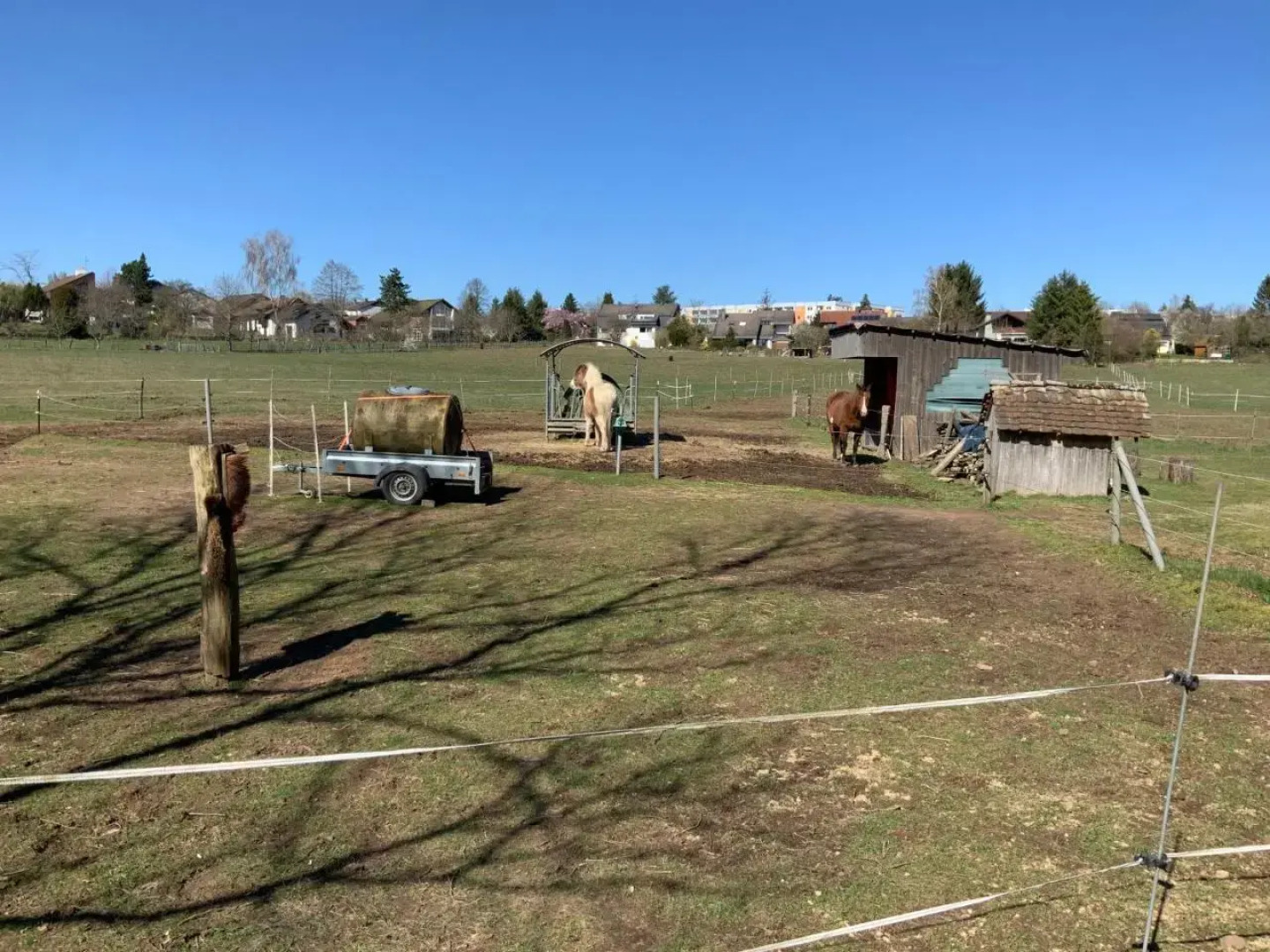 Hen Coop in Complete House Mit Optionaler Sauna
