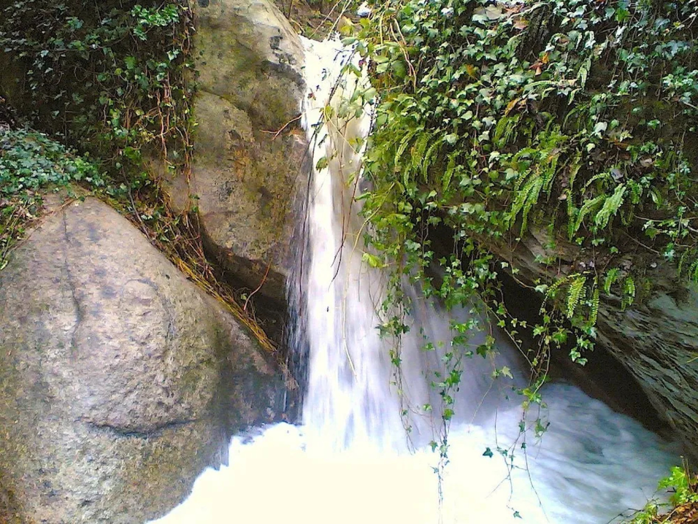 Le Case Della Buca Agriturismo ed Agricampeggio