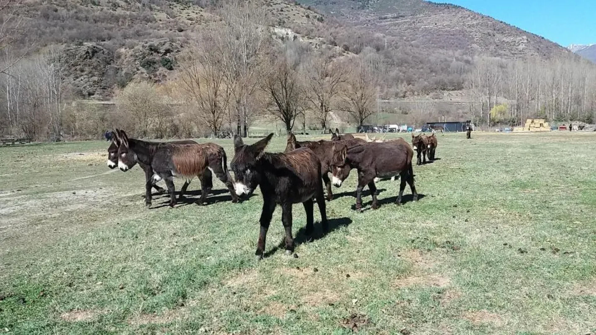 Apartaments Morelló