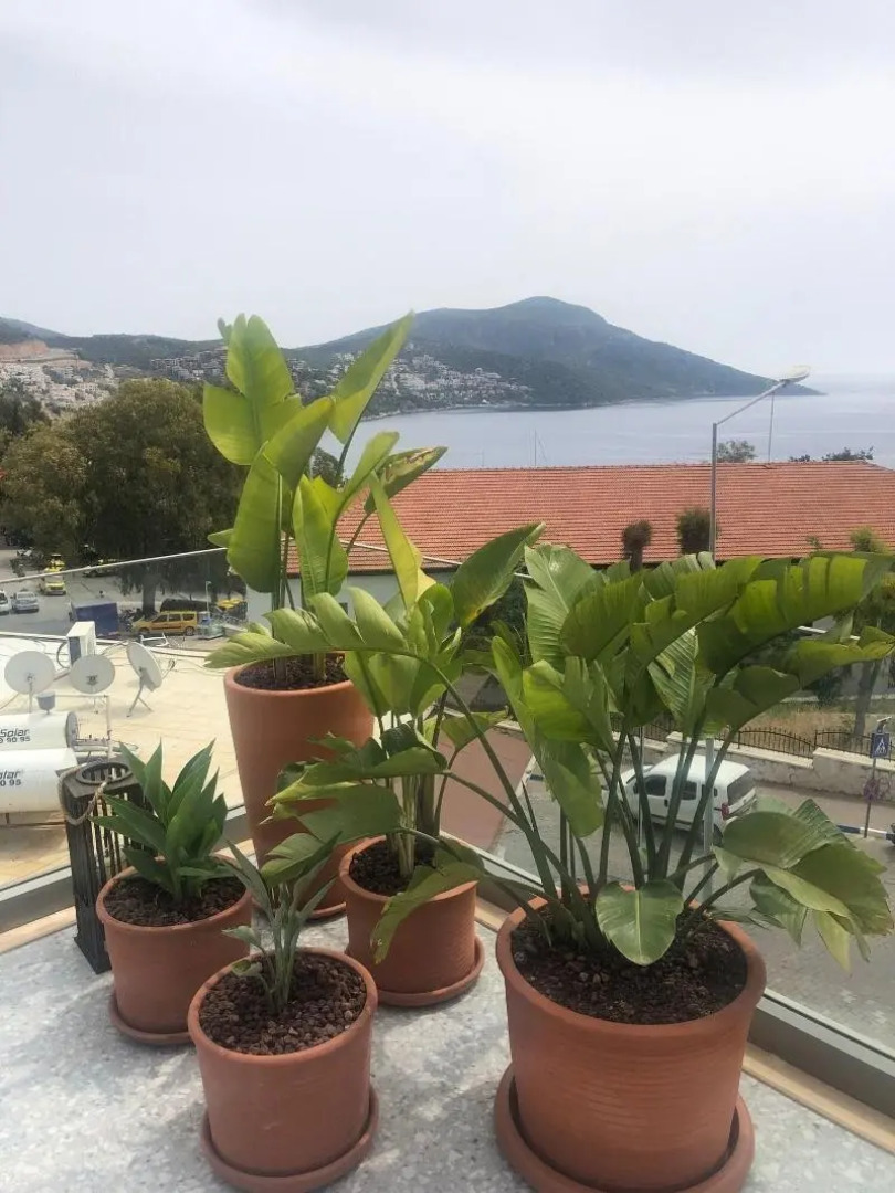 Samira Exclusive Hotel & Apartments