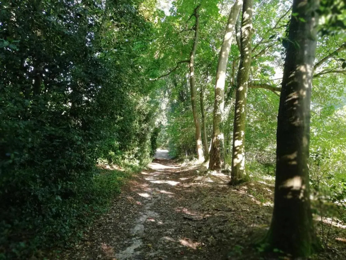 Chateau de la Bucaille - Entier