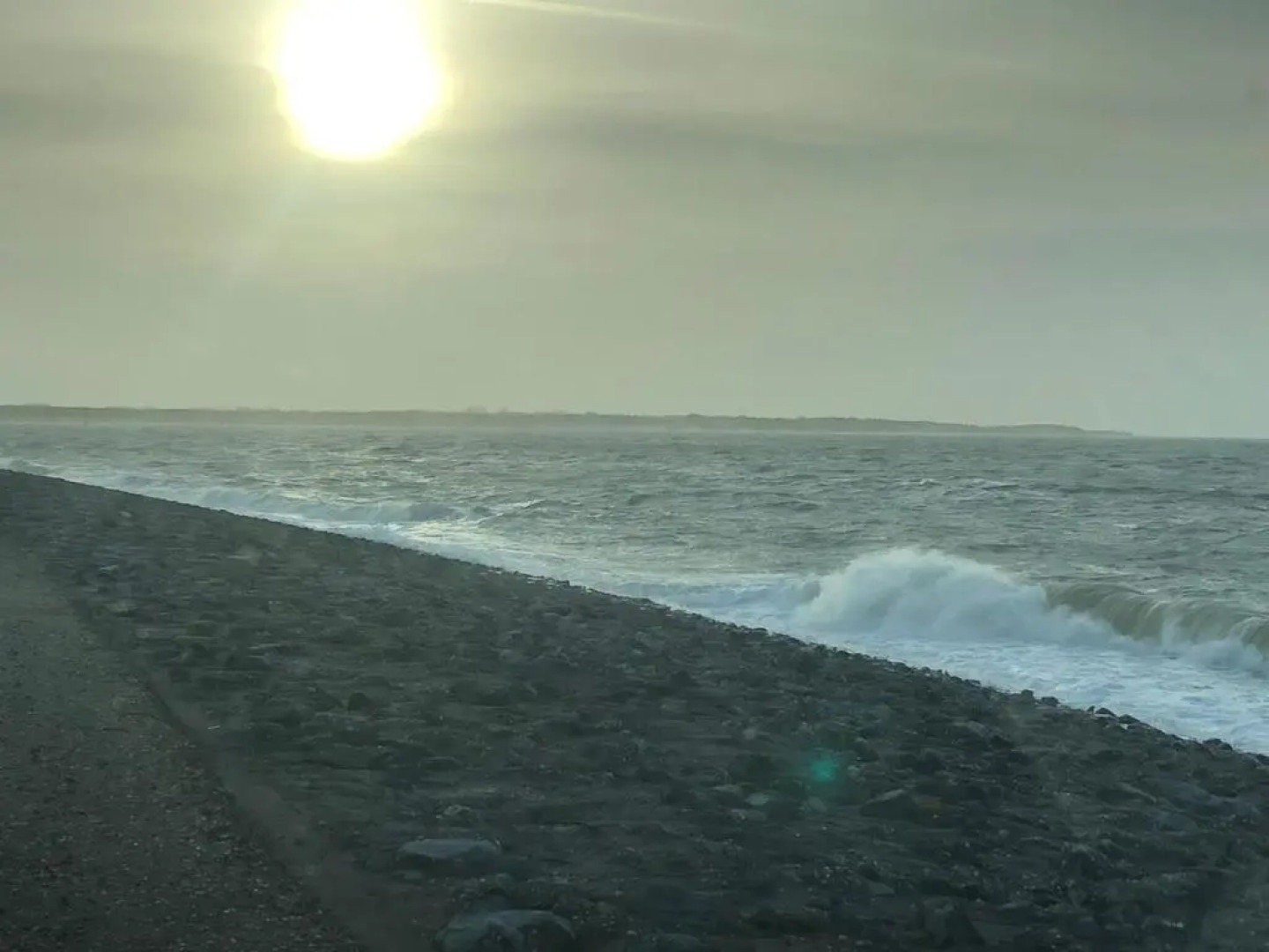 Lonestar Appartement