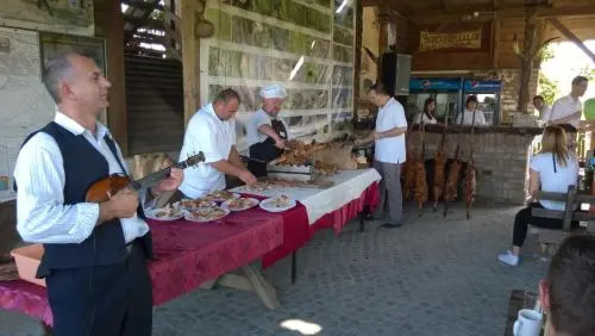 Guest House Zasavica