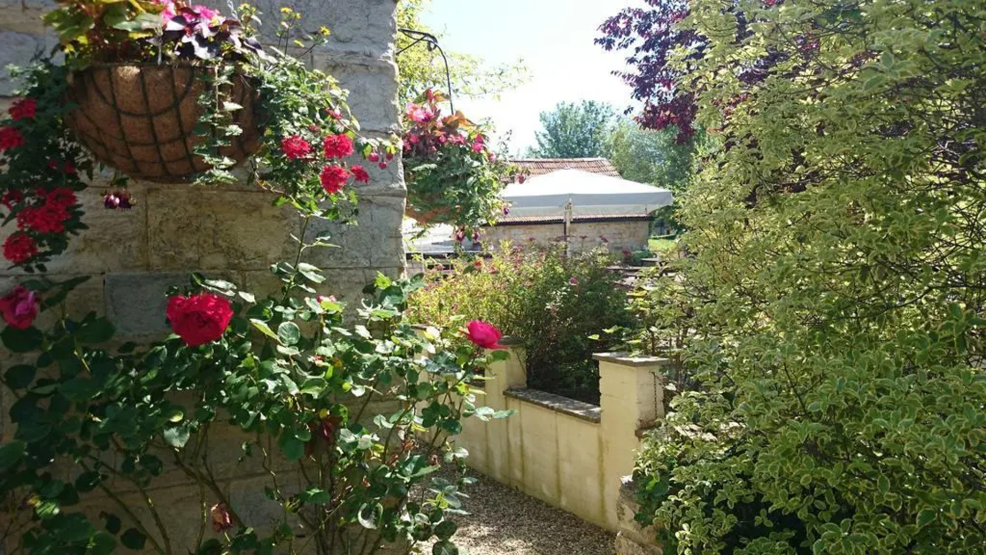 The Greyhound Inn Taunton