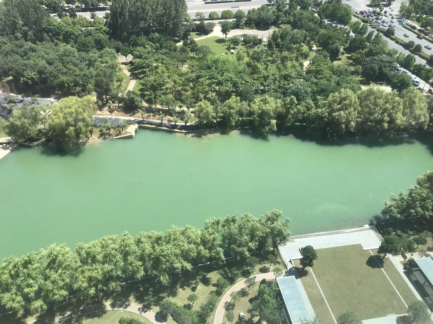 Somerset Swan Lake Hefei