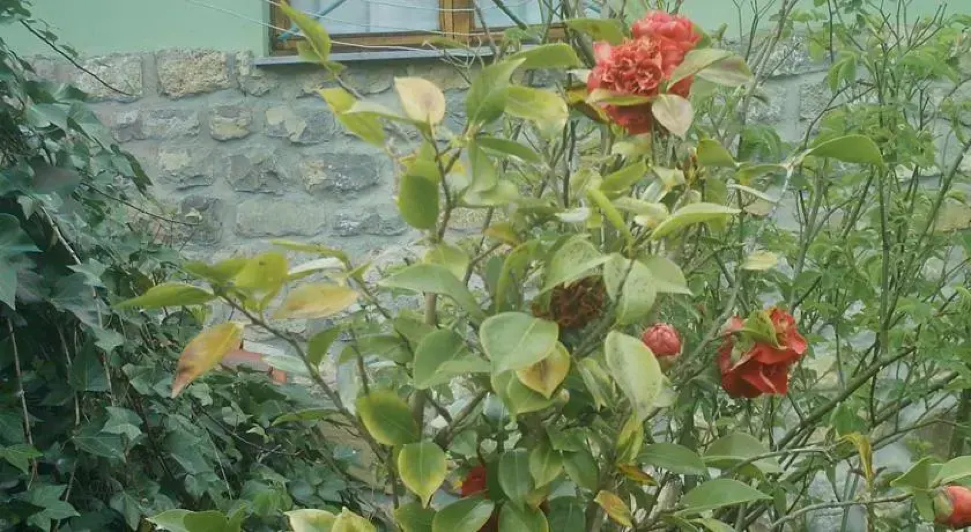 Casa De Aldea La Fuentona